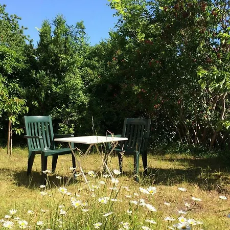 Appartement Zum Kranich *